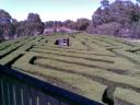 The Hedge Maze